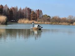 -苏州太湖国家湿地公园