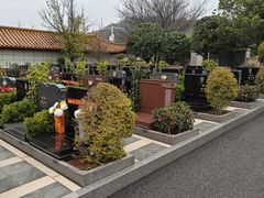 -武汉大学人民医院(首义院区)