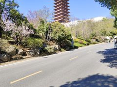 -牛首山文化旅游区