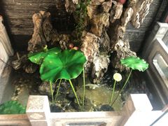 -知足堂养生会所(碑亭巷店)