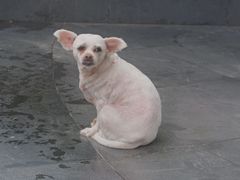 -星光摄影器材城