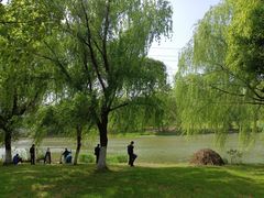 -九里河湿地公园
