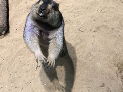 -海底捞火锅(亲子主题北金鹰店)