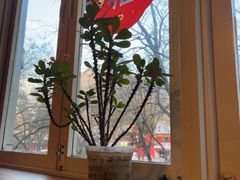 -雕刻时光咖啡馆(南院门店)