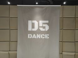 点击看大图 -D5街舞培训机构