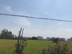 -李记潮汕砂锅粥(营福路店)
