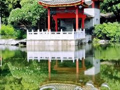 -顺峰山公园