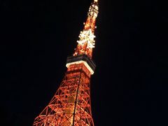 -东京塔海贼王主题公园