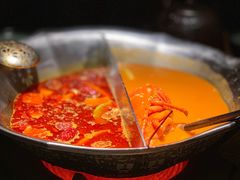 波龙汤底-湊湊火锅·茶憩(石家庄万象城店)