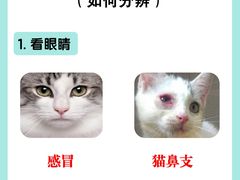 -美联众合爱康动物医院•复杂内科•肿瘤科•牙科•腔镜诊疗中心