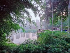 -龙头寺公园