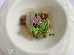 -蝶舍·MAISON PAPILLON