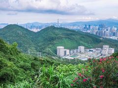 -梧桐山风景名胜区