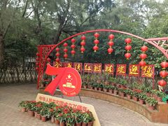 -北海金海湾红树林生态旅游区