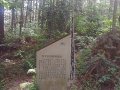 -冶父山国家森林公园