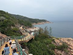 -广东惠东海龟国家级自然保护区