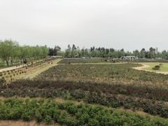 -漩门湾国家湿地公园