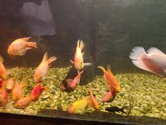 -嘉兴海底世界