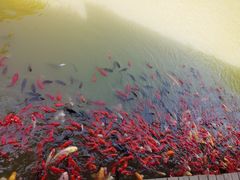 -泰安地下龙宫景区