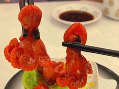 芝麻八爪鱼-元气寿司(金光华店)