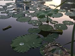 -木塔寺遗址生态公园