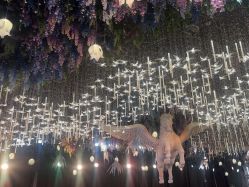 点击看大图 -花嫁丽舍婚礼殿堂(世博江景店)