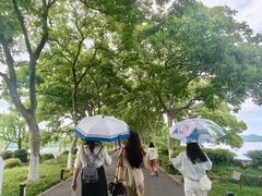 -西湖游船