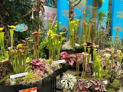 -北京植物园-展览温室