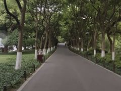 -苏堤停车场