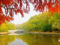 -朝阳公园游乐园