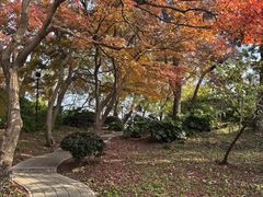 -相门城墙文化休闲景区