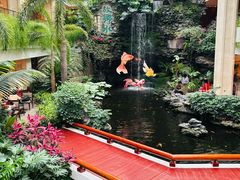 -广州白天鹅宾馆