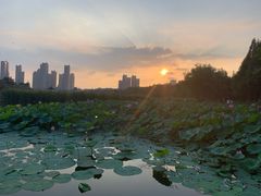 -前关湿地公园