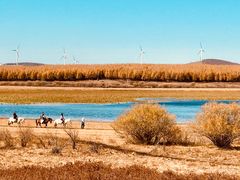 -塞罕坝国家级自然保护区