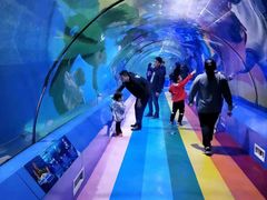 -重庆欢乐海底世界