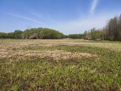 景点-溱湖国家湿地公园