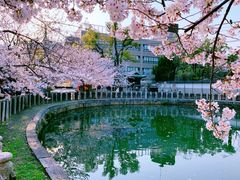 -天王寺公园