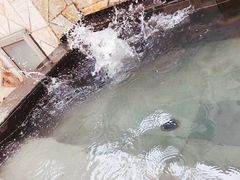 -龙达温泉生态城