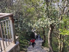 -紫金山索道-售票处