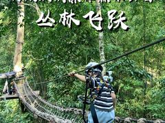 -西双版纳原始森林公园