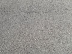 -风云岭森林公园