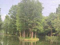 -西溪国家湿地公园