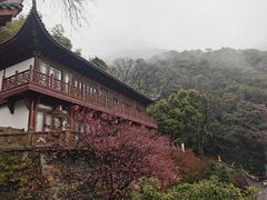 -韬光茶庵
