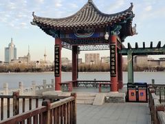 -莲花池公园