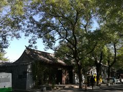 -北京国子监胡同