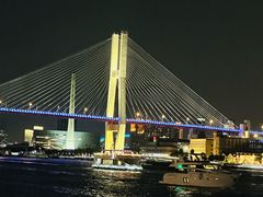 -摆渡站(董家渡站)