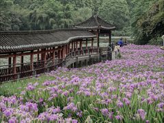-龙头寺公园
