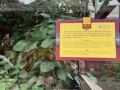-西安市广仁寺