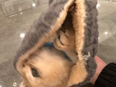 -袖虎·猫馆(体育西路店)