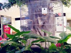 -东四民芳餐厅(世茂工三店)